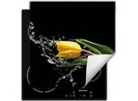 Darhaus Piastra Di Copertura Per Stufa 60X52 Cm Tappetino Antiscivolo Roll-Up, Nero - Tulipano