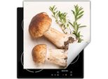 Darhaus Piastra Di Copertura Per Stufe 60X52 Cm Tappetino Antiscivolo Roll-Up, Funghi