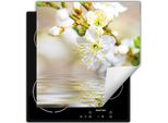 Darhaus Piastra Di Copertura Per Stufa 50X52 Cm Tappetino Antiscivolo Roll-Up, Bianco - Fiori