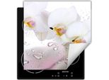Darhaus Piastra Di Copertura Per Fornelli 50X52 Cm Tappetino Antiscivolo Roll-Up, Bianco - Orchidea