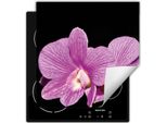 Darhaus Piastra Di Copertura Per Stufa 60X52 Cm Tappetino Antiscivolo Roll-Up, Nero - Flower
