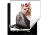 Darhaus Piastra Di Copertura Per Stufa 50X52 Cm Tappetino Antiscivolo Roll-Up, Bianco - Dog