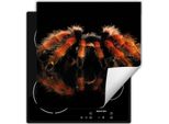 Darhaus Piastra Di Copertura Per Stufa 50X52 Cm Tappetino Antiscivolo Roll-Up, Nero - Spider