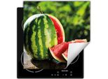 Darhaus Piastra Di Copertura Per Fornelli 50X52 Cm Tappetino Antiscivolo Roll-Up, Verde - Anguria