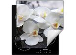 Darhaus Piastra Di Copertura Per Stufa 50X52 Cm Tappetino Antiscivolo Roll-Up, Bianco - Lilies