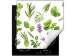 Darhaus Piastra Di Copertura Per Stufa 60X52 Cm Tappetino Antiscivolo Roll-Up, Verde - Erbe
