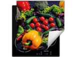 Darhaus Piastra Di Copertura Per Fornelli 60X52 Cm Tappetino Antiscivolo Roll-Up, Colorato - Verdure