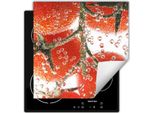 Darhaus Piastra Di Copertura Per Fornelli 50X52 Cm Tappetino Antiscivolo Roll-Up, Acqua - Pomodori