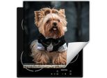Darhaus Piastra Di Copertura Per Stufa 50X52 Cm Tappetino Antiscivolo Roll-Up, Dog York