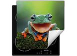 Darhaus Piastra Di Copertura Per Fornelli 50X52 Cm Tappetino Antiscivolo Roll-Up, Verde - Frog