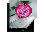 Darhaus Piastra Di Copertura Per Stufe 60X52 Cm Tappetino Antiscivolo Roll-Up, Rosa