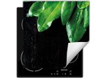 Darhaus Piastra Di Copertura Per Fornelli 60X52 Cm Tappetino Antiscivolo Roll-Up, Nero - Cucina