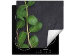 Darhaus Piastra Di Copertura Per Stufa 50X52 Cm Tappetino Antiscivolo Roll-Up, Menta