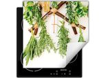 Darhaus Piastra Di Copertura Per Fornelli 60X52 Cm Tappetino Antiscivolo Roll-Up, Erbe - Cucina