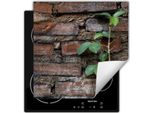 Darhaus Piastra Di Copertura Per Stufe 50X52 Cm Tappetino Antiscivolo Roll-Up, Mattone