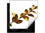 Darhaus Piastra Di Copertura Per Stufa 60X52 Cm Tappetino Antiscivolo Roll-Up, Bianco - Oro - Fiore