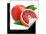 Darhaus Piastra Di Copertura Per Fornelli 50X52 Cm Tappetino Antiscivolo Roll-Up, Pompelmo
