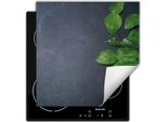 Darhaus Piastra Di Copertura Per Stufe 60X52 Cm Tappetino Antiscivolo Roll-Up, Grigio
