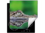 Darhaus Piastra Di Copertura Per Stufe 60X52 Cm Tappetino Antiscivolo Roll-Up, Verde - Coccodrillo