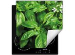 Darhaus Piastra Di Copertura Per Stufa 60X52 Cm Tappetino Antiscivolo Roll-Up, Verde - Menta