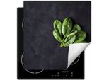 Darhaus Piastra Di Copertura Per Stufe 60X52 Cm Tappetino Antiscivolo Roll-Up, Ardesia - Basilico
