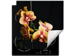 Darhaus Piastra Di Copertura Per Fornelli 50X52 Cm Tappetino Antiscivolo Roll-Up, Nero - Orchidea