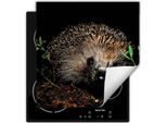 Darhaus Piastra Di Copertura Per Stufa 50X52 Cm Tappetino Antiscivolo Roll-Up, Nero - Riccio