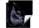 Darhaus Piastra Di Copertura Per Stufe 60X52 Cm Tappetino Antiscivolo Roll-Up, Nero - Gatto