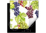 Darhaus Piastra Di Copertura Per Stufe 60X52 Cm Tappetino Antiscivolo Roll-Up, Uva