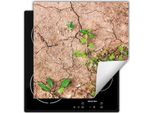 Darhaus Piastra Di Copertura Per Fornelli 60X52 Cm Tappetino Antiscivolo Arrotolabile, Paese - Pianta
