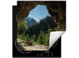 Darhaus Piastra Di Copertura Per Stufe 60X52 Cm Tappetino Antiscivolo Roll-Up, Foresta