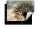 Darhaus Piastra Di Copertura Per Stufa 70X52 Cm Tappetino Antiscivolo Roll-Up, Fiori