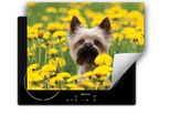 Darhaus Piastra Di Copertura Per Stufa 70X52 Cm Tappetino Antiscivolo Roll-Up, Cane - Fiori