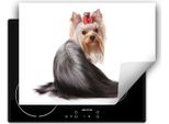 Darhaus Piastra Di Copertura 70X52 Cm Tappetino Antiscivolo Arrotolabile, Bianco - Cane
