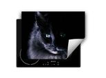 Darhaus Piastra Di Copertura Per Stufe 70X52 Cm Tappetino Antiscivolo Roll-Up, Nero - Gatto
