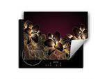 Darhaus Piastra Di Copertura Per Fornelli 80X52 Cm Tappetino Antiscivolo Roll-Up, Orchidea - Fiori