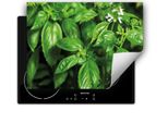 Darhaus Piastra Di Copertura Per Stufa 80X52 Cm Tappetino Antiscivolo Roll-Up, Verde - Menta