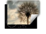 Darhaus Piastra Di Copertura Per Stufa 80X52 Cm Tappetino Antiscivolo Roll-Up, Fiori