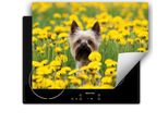 Darhaus Piastra Di Copertura Per Stufa 80X52 Cm Tappetino Antiscivolo Roll-Up, Cane - Fiori