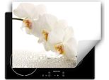 Darhaus Piastra Di Copertura Per Stufa 80X52 Cm Tappetino Antiscivolo Roll-Up, Bianco - Orchidea