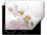 Darhaus Piastra Di Copertura Per Stufa 80X52 Cm Tappetino Antiscivolo Roll-Up, Bianco - Orchidea