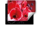Darhaus Piastra Di Copertura Per Stufa 80X52 Cm Tappetino Antiscivolo Roll-Up, Rosso - Orchidea