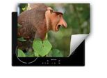 Darhaus Piastra Di Copertura Per Stufa 80X52 Cm Tappetino Antiscivolo Roll-Up, Scimmia - Foresta