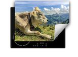Darhaus Piastra Di Copertura Per Stufe 80X52 Cm Tappetino Antiscivolo Arrotolabile, Mucca