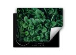 Darhaus Piastra Di Copertura Per Stufa 80X52 Cm Tappetino Antiscivolo Roll-Up, Verde - Menta