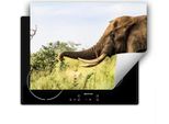 Darhaus Piastra Di Copertura Per Stufe 80X52 Cm Tappetino Antiscivolo Arrotolabile, Elefante