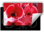 Darhaus Piastra Di Copertura Per Stufa 90X52 Cm Tappetino Antiscivolo Roll-Up, Rosso - Orchidea