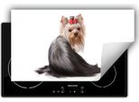 Darhaus Piastra Di Copertura Per Stufa 90X52 Cm Tappetino Antiscivolo Roll-Up, Bianco - Dog