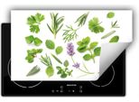 Darhaus Piastra Di Copertura Per Stufa 90X52 Cm Tappetino Antiscivolo Roll-Up, Verde - Erbe