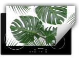 Darhaus Piastra Di Copertura Per Stufa 90X52 Cm Tappetino Antiscivolo Roll-Up, Verde - Monstera